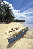 Outrigger canoe on palm tree-lined beach, village of Walung, Kosrae, Micronesia..
