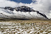 Snow-Covered Patagonic Steppe, Perito Moreno National Park, Southern Andean Patagonia, Santa Cruz, Argentina.