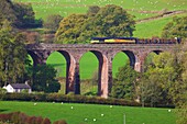 Colas Rail Freight train on Dry Beck Viaduct, Armathwaite, Eden Valley, Cumbria, England, UK.
