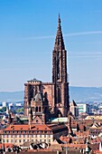 Notre-Dame gothic cathedral, 14th Century, Strasbourg, Alsace, France