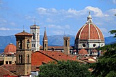Europe,Italy,Tuscany,Florence,old city and cathedral.