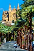 Gothic cathedral. Palma de Mallorca. Majorca. Balearic Islands. Spain.
