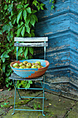 A basket of apples on an old chair