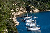 Sailboats  Bonifacio, Corsica Island  France