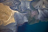 Luftaufnahme, fliegende Flamingos über der Lagune von Sandwich Harbour, Namibia