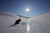Rentiernomaden beim Eisfischen, Tschukotka (Autonomer Kreis der Tschuktschen), Sibirien, Russland