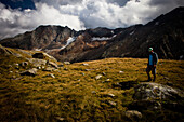 Mann walking on mountain meadow, near Bremer Hut (ca. 2413 m), rear of Gschnitz Valley, Stubai Alps, Tyrol, Austria