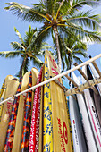 Hawaii, Hawaiian, Honolulu, Waikiki Beach, resort, Kuhio Beach State Park, Pacific Ocean, surfboards, rental, rent,