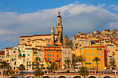 Menton, France, Europe, Côte dAzur, Provence, Alpes_Maritimes, town, city, Old Town, houses, homes, church, palms, morning light