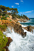 Point de Layet, France, Europe, Côte dAzur, Provence, Var, sea, Mediterranean Sea, coast, rock, cliff, trees, pines, waves, surf