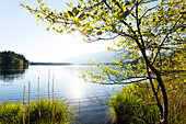 Barmsee, lake near Mittenwald in Spring, Werdenfelser Land, Karwendel mountains, Bavarian Alps, Upper Bavaria, Bavaria, Germany, Europe