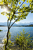 Barmsee bei Mittenwald im Frühling, Werdenfelser Land, Wettersteingebirge, Bayerische Alpen, Oberbayern, Bayern, Deutschland, Europa