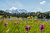Geroldsee bei Mittenwald im Frühling, Karwendelgebirge, Berge, Werdenfelser Land, Bayerische Alpen, Oberbayern, Bayern, Deutschland, Europa