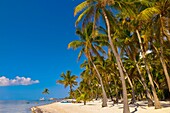 The Moorings Village Pearl of Florida Keys resort, Islamorada Key, Florida Keys, Florida USA