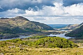 Scenic view from Ladies View, County Kerry, Ireland, Europe