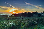 Sunrise at Loughnavalley, County Westmeath, Ireland.