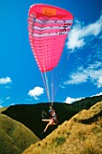 Woman paraglider taking off near Nelson, New Zealand
