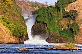 Murchison Falls National park, Uganda, East Africa