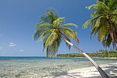 Arridup Island, San Blas Islands also called Kuna Yala Islands, Panama