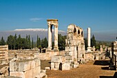 Ruins of the Umayyad city of Anjar, Bekaa Valley, Lebanon