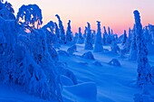 Winter landscape. Scandinavia