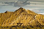 Geological formations and landscape in the Piskerra area of the Bardenas Reales Nature park. Navarre. Spain.