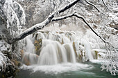 Winter waterfall under tree branch, Plitvice national park in Croatia, Lower lakes area, long exposure tripod shot