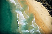 Aerial view of the famous beach close to Sydney town. Manly beach, New South Wales, Australia