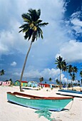 Sandy beach of a local village  Saona island, Dominican republic, Caribbean