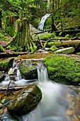 Coal Creek Falls state park, Seattle