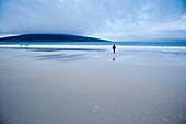 Woman walks along Luskentyre beach on overcast day, Isle of Harris, Western Isles, Scotland