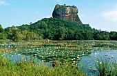 Sri Lanka, Sigiriya, Sigiriya Rock.