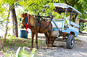 Horse-drawn carriage, Gili Air, Lombok, Indonesia