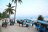 Horse-drawn carriages at beach, Gili Air, Lombok, Indonesia