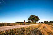 Cyclist cycling past fields, Worpswede, Teufelsmoor, Lower Saxony, Germany