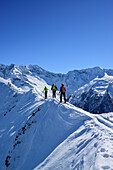 Drei Personen auf Skitour gehen über Schneegrat, Zillertaler Alpen im Hintergrund, Gammerspitze, Schmirntal, Zillertaler Alpen, Tirol, Österreich