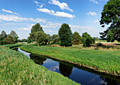 die Dosse bei Großderschau, Land Brandenburg, Deutschland