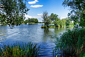 Havel in Milow, bei Premnitz, Land Brandenburg, Deutschland