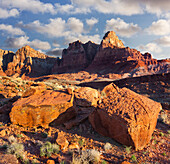 Vermilion Cliffs National Monument, Utah, USA