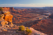 Grand View Point, Green River Overlook, Island In The Sky, Canyonlands National Park, Utah, USA