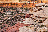 Needles District, Canyonlands National Park, Utah, USA