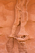 Sandstein Detail, Devils Garden, Arches National Park, Utah, USA