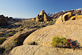 Alabama Hills, nahe Lone Pine, Sierra Nevada, Kalifornien, USA