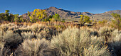 Owens River Valley, Sierra Nevada, California, USA