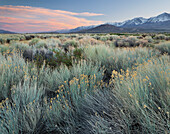 Owens River Valley, Sierra Nevada, Kalifornien, USA