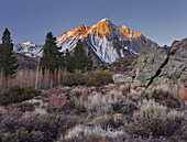 Laurel Mountain, Sierra Nevada, Kalifornien, USA