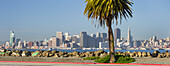 Avenue of the Palma, Treasure Island, San Francisco skyline, California, USA