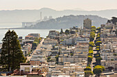 Telegraph Hill vom Russion Hill, San Francisco, Kalifornien, USA