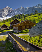 Neustattalm, Dachstein,  Steiermark, Österreich