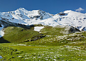 Petersbründl, Glocknergruppe, Nationalpark Hohe Tauern, Salzburg, Österreich